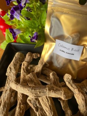 Calamus Root