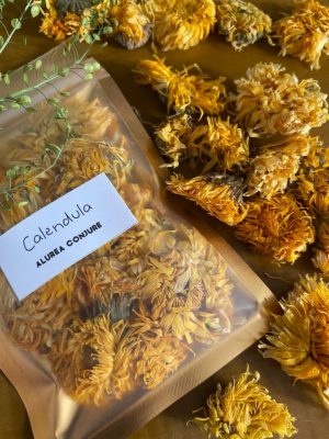 Calendula