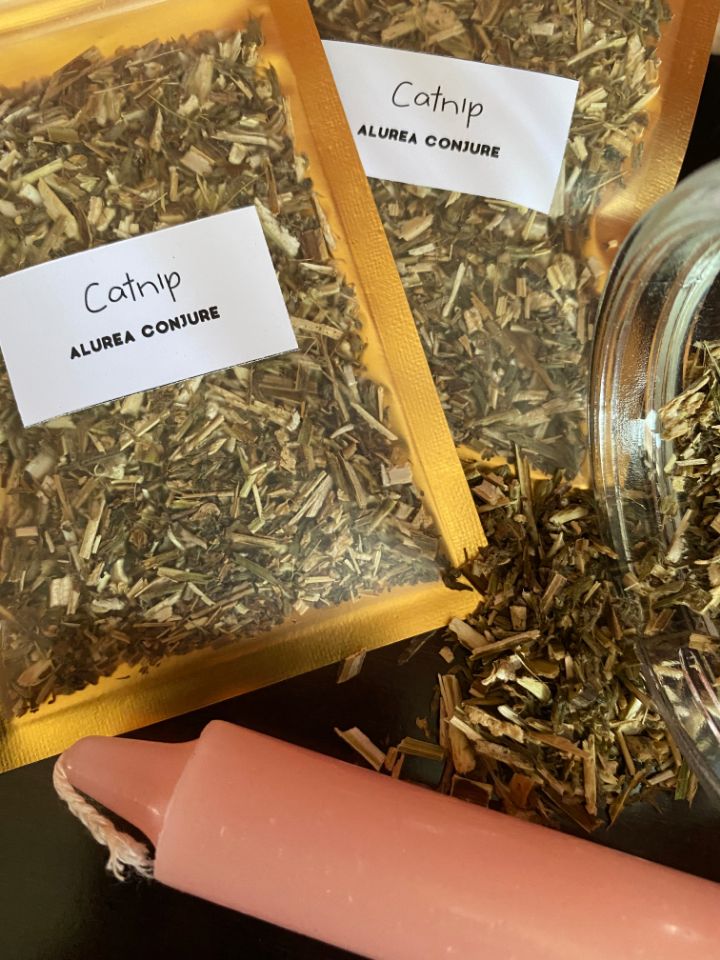 Catnip Catnip