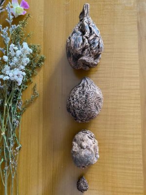 High John the Conqueror