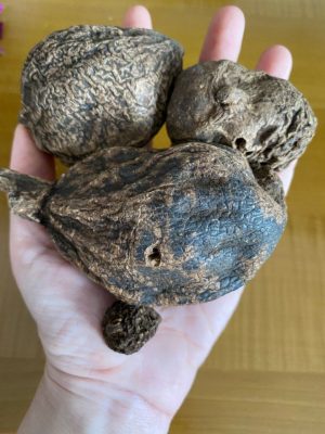 High John the Conqueror