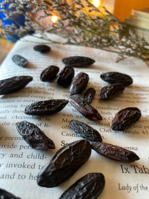 Tonka Beans
